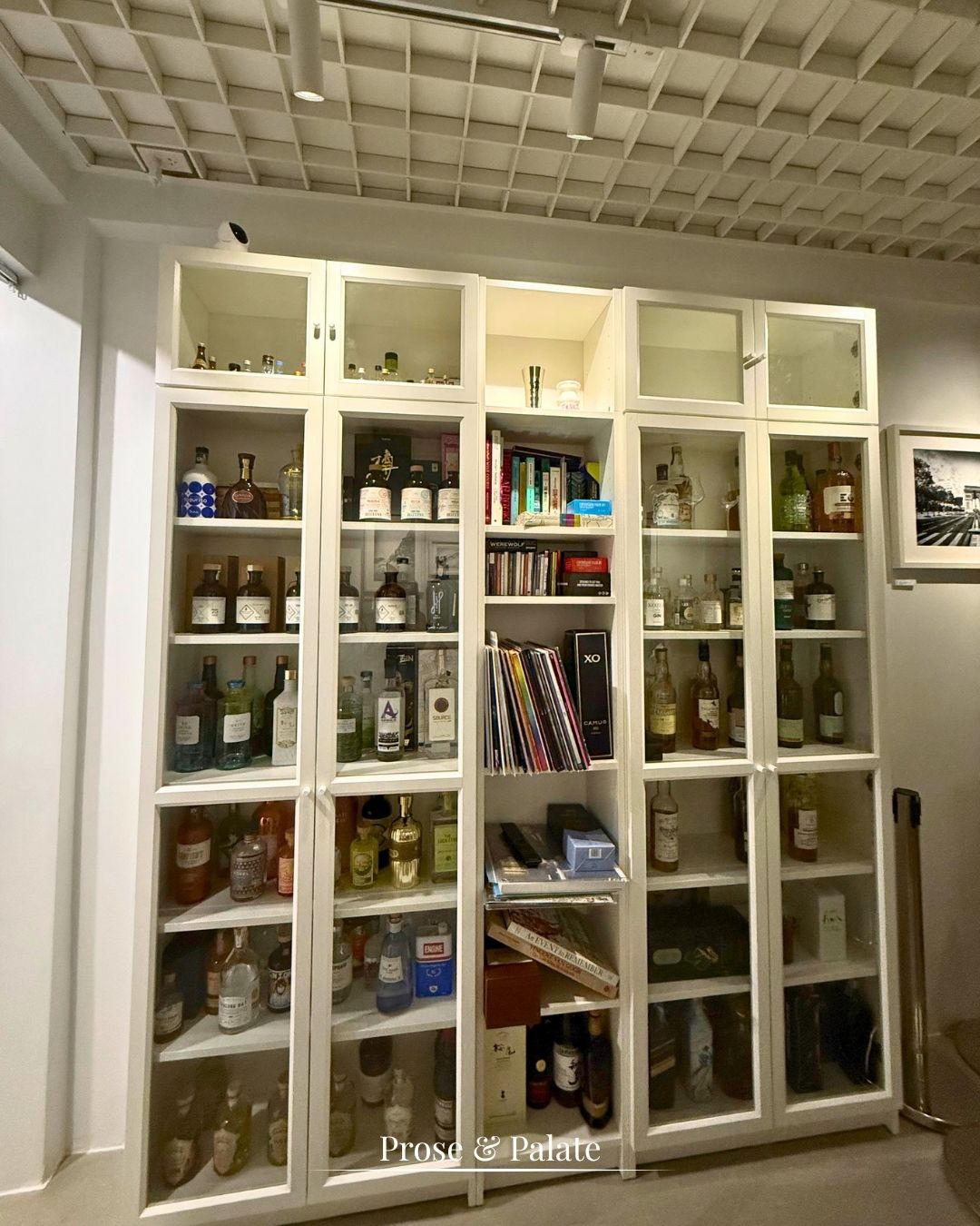 The collection